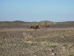 Xinjiang Roads