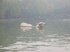 Hangzhou