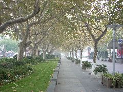 Hangzhou